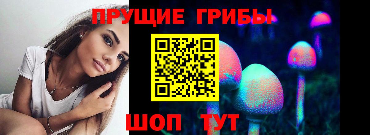 Советская Гавань  Псилоцибиновые грибы ЛСД  Вход с VPN 